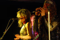 The Glamsters at The Function Room, click to enlarge